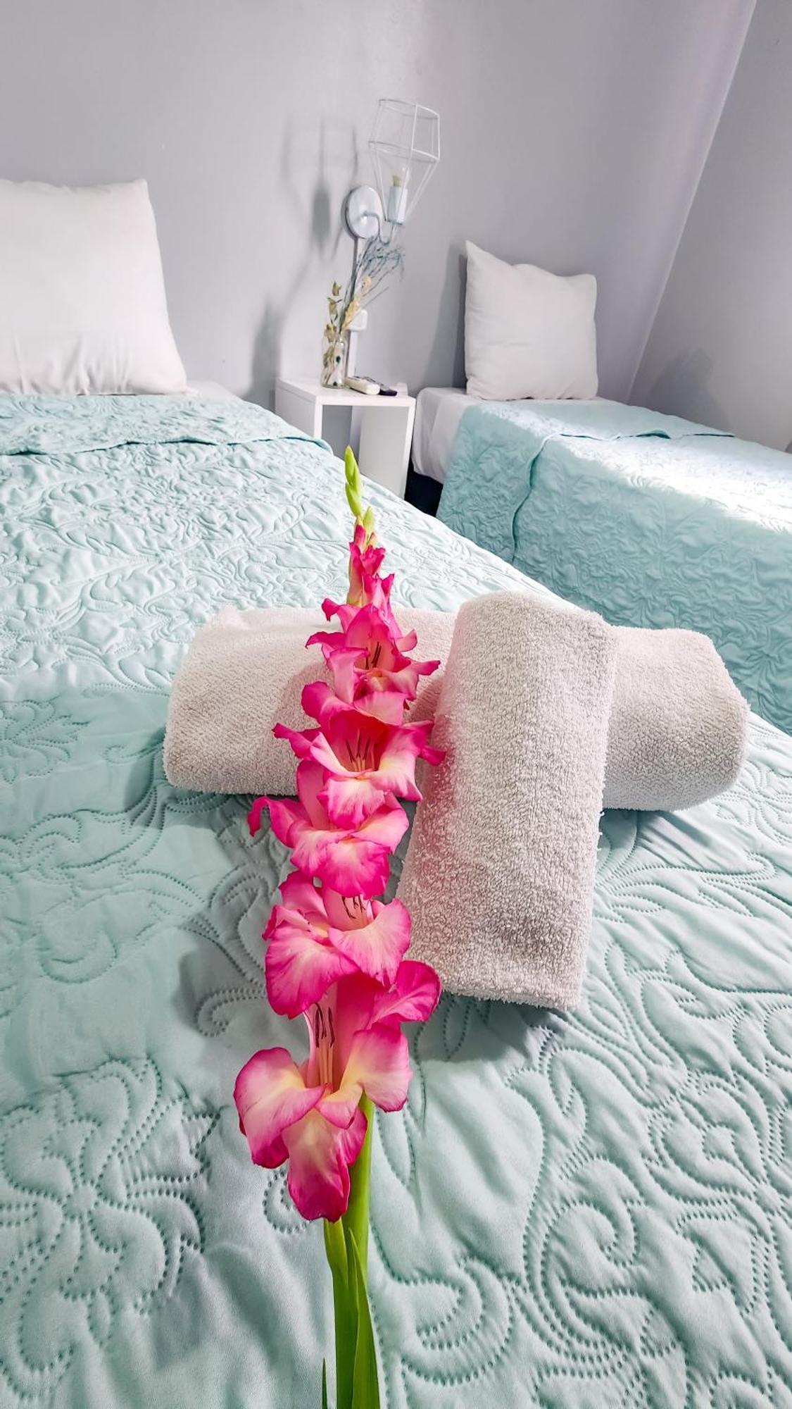 Essencial & Spa 3* Mendoza