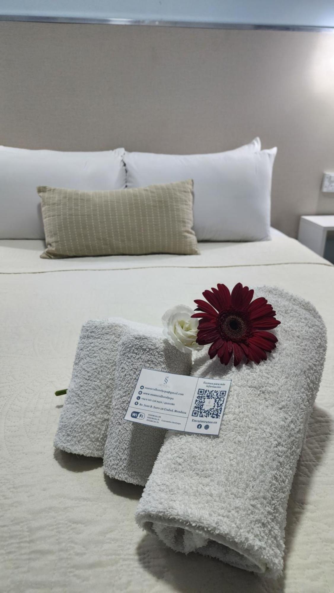 Essencial Hotel&spa Hotel Mendoza